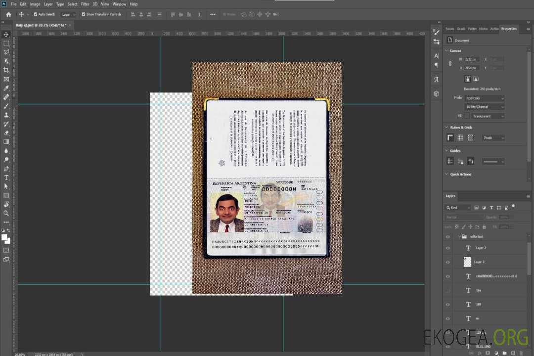 Aperçu photo du passeport argentin 2012-présent template Aperçu photo du passeport argentin 2012-présent template